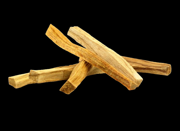 Palo Santo